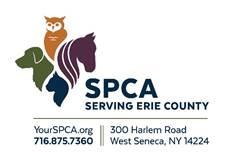 SPCA Serving Erie County nearing crisis situation