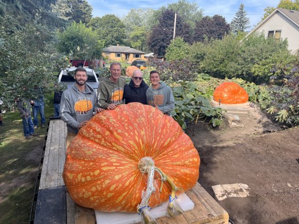 Judging for the World Pumpkin Weigh-off begins at noon Saturday.