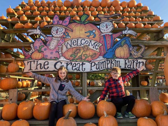 The Great Pumpkin Farm kicks off 28th annual Fall Festival