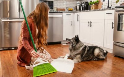 How to tackle spring cleaning, even when you have pets