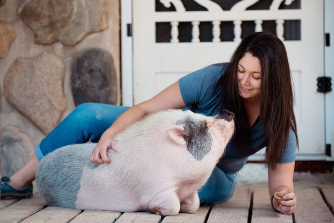 Pigs are remarkably intelligent, capable of learning tricks and solving puzzles.